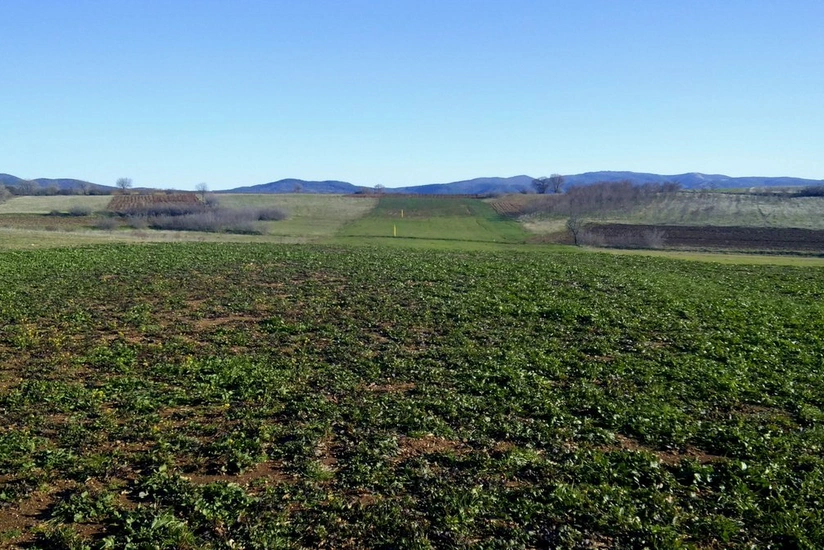 В Греции и Албании восстановлено 68% территории вдоль маршрута TAP