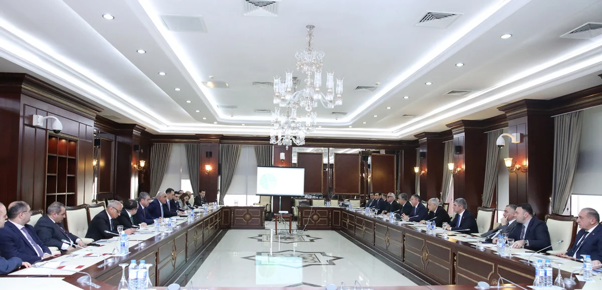 Члены Общественного совета при Минэкономики Азербайджана представили план действий депутатам