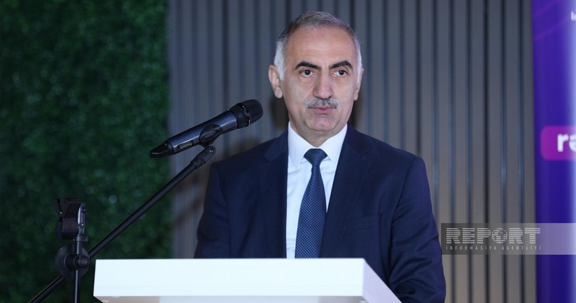Elmir Valizada: Azerbaijan’s media in spotlight of malicious groups