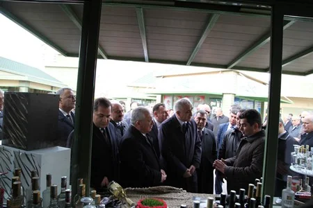 Bakıda ixtisaslaşdırılmış Yaşıl Market Kompleksi - AQROMOLL istifadəyə verilib