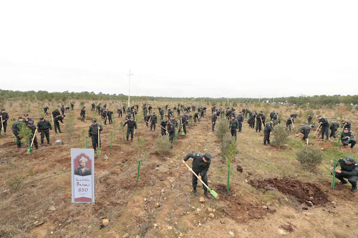 Azərbaycan polisi bir gündə 11 400 ağac əkib