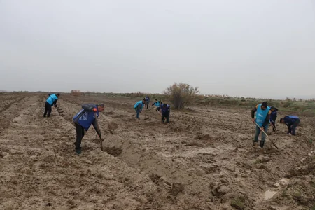 “Yanğından yaşıllığa” kampaniyası çərçivəsində ağacəkmə aksiyası keçirilib