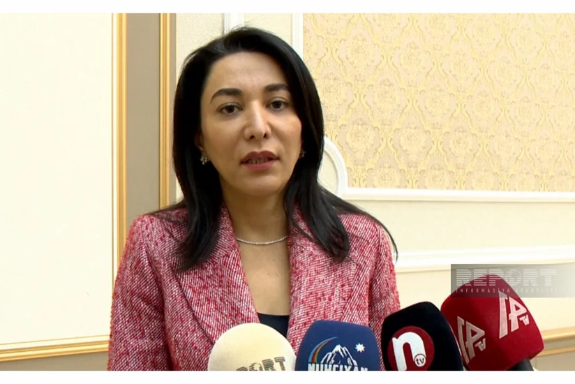 Ombudsman: Erməni terroru ilə bağlı beynəlxalq qurumlara 18 hesabat göndərmişik, lakin reaksiya yoxdur