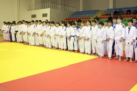 Azərbaycan Cüdo Federasiyası Naxçıvanda seminar keçirib