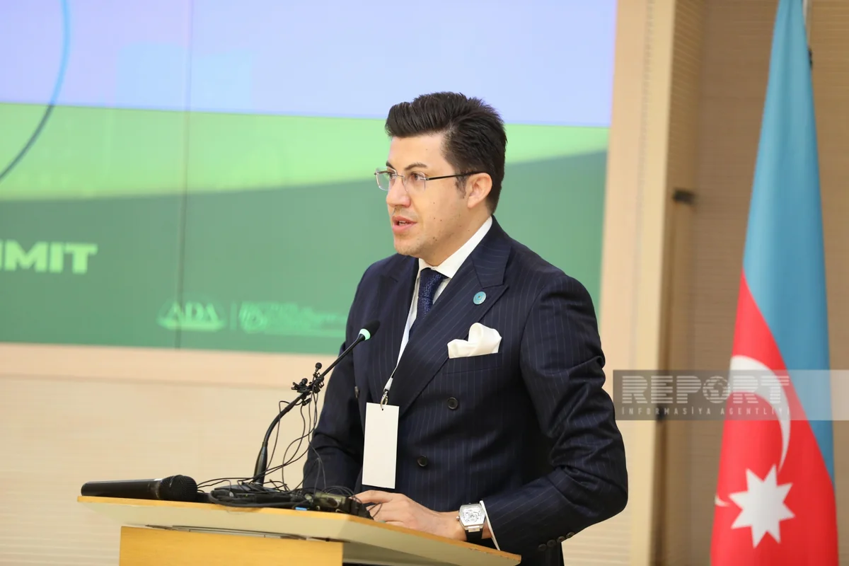 Dogan Basaran: Opening of Zangazur corridor to contribute to fight against climate change