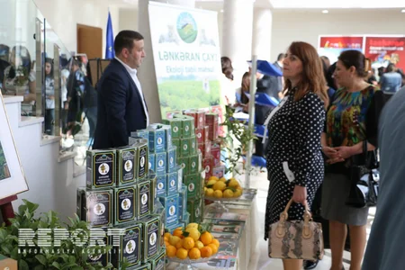 Lənkəran şəhərində “Avropa günü” keçirilir - FOTO