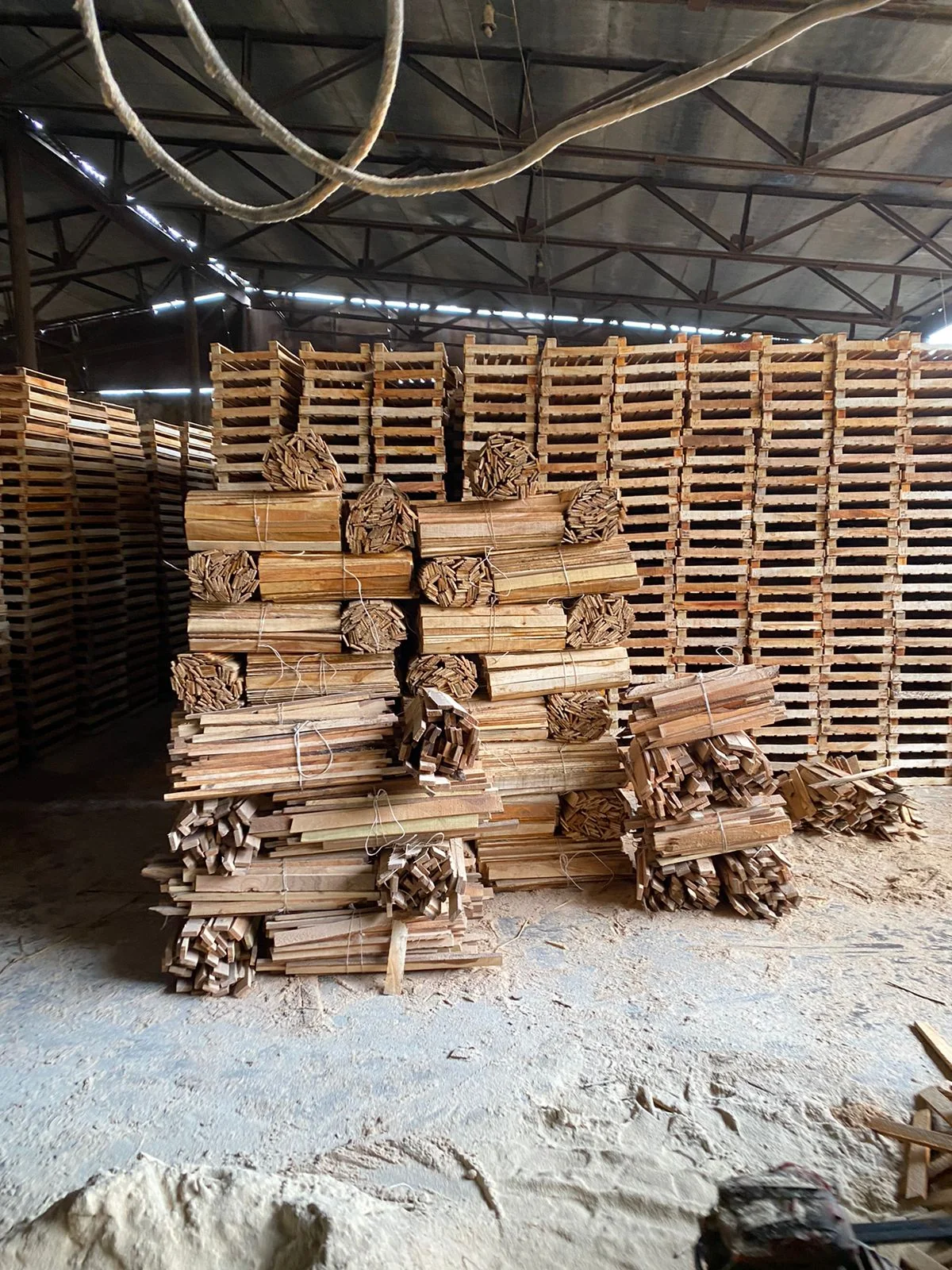 Xaçmazda qanunsuz ağac emal edən sexlər barədə araşdırma aparılır