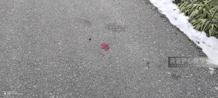 Oğuz sakini həyat yoldaşına kəsici alətlə xəsarət yetirib, sonra intihara cəhd edib