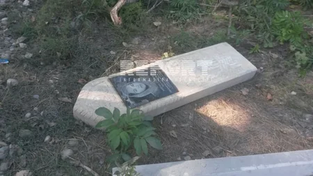 Külək Xaçmazda ağacı avtomobilin üstünə aşırıb, ölən və yaralanan var - YENİLƏNİB