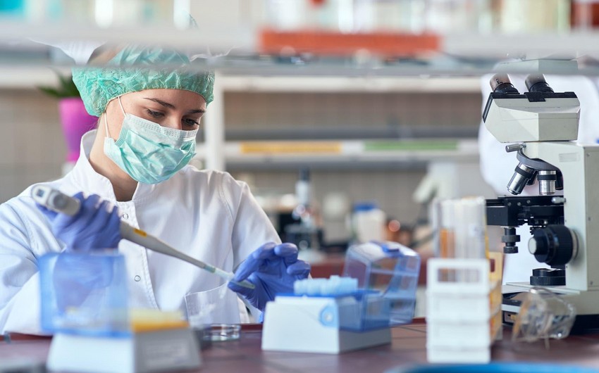 Azerbaijan is a model of success in battling coronavirus: JP