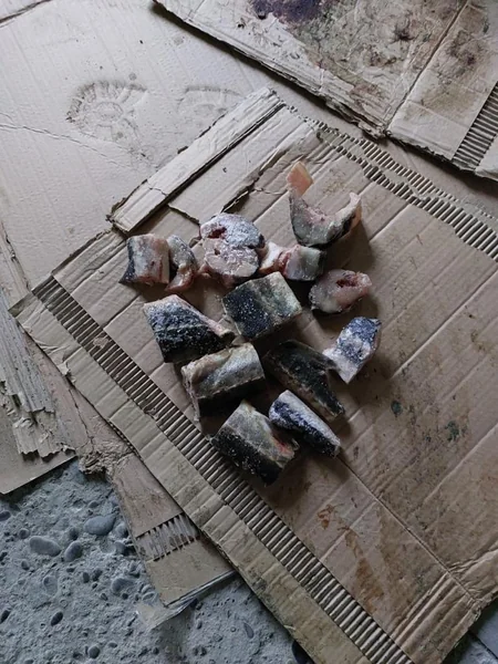 Qanunsuz balıq ovladıqlarına görə 20 nəfər saxlanılıb