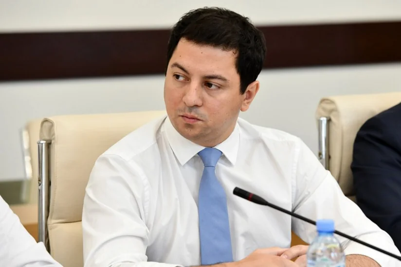 Вице-спикер парламента Грузии назвал оскорбительной инициативу Зурабишвили о референдуме