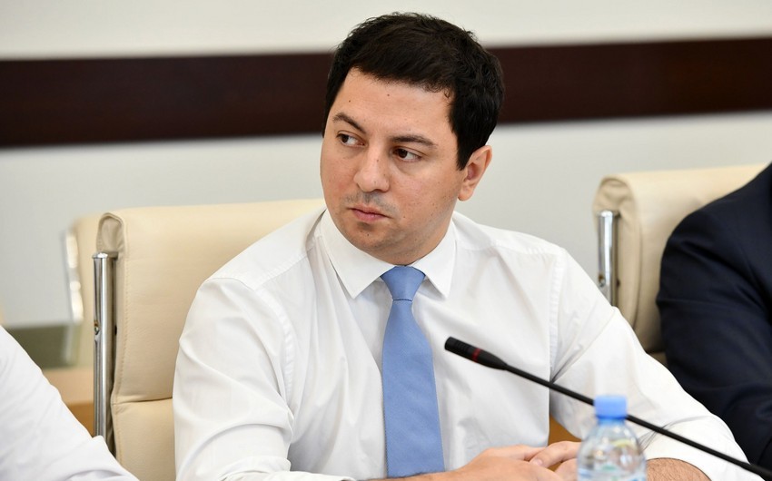 Gürcüstan parlamentinin vitse-spikeri: Zurabişvilinin referendumla bağlı təşəbbüsü təhqirdir