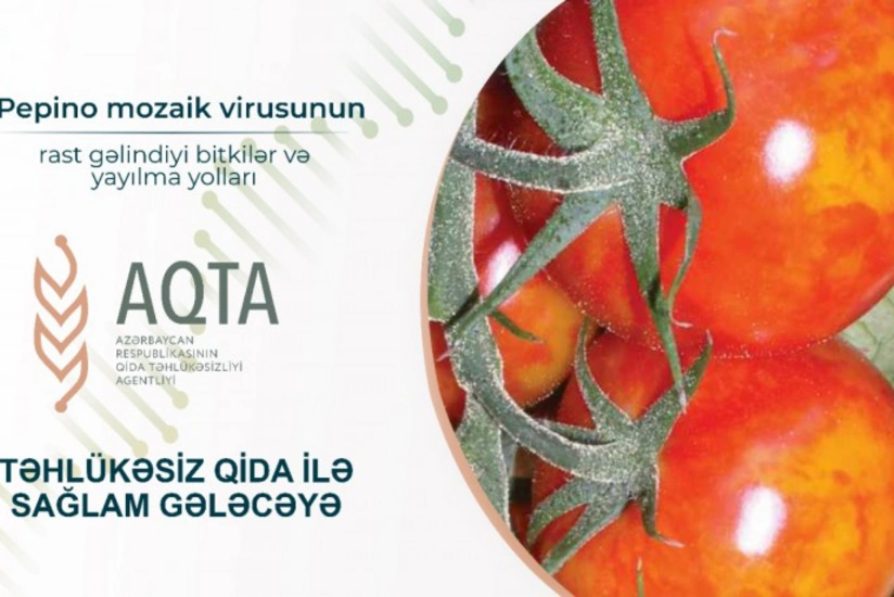 AQTA pepino mozaik virusunun yayılma yollarını açıqlayıb
