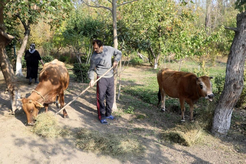 Ötən il özünüməşğulluq proqramına cəlb edilənlərin sayı açıqlandı