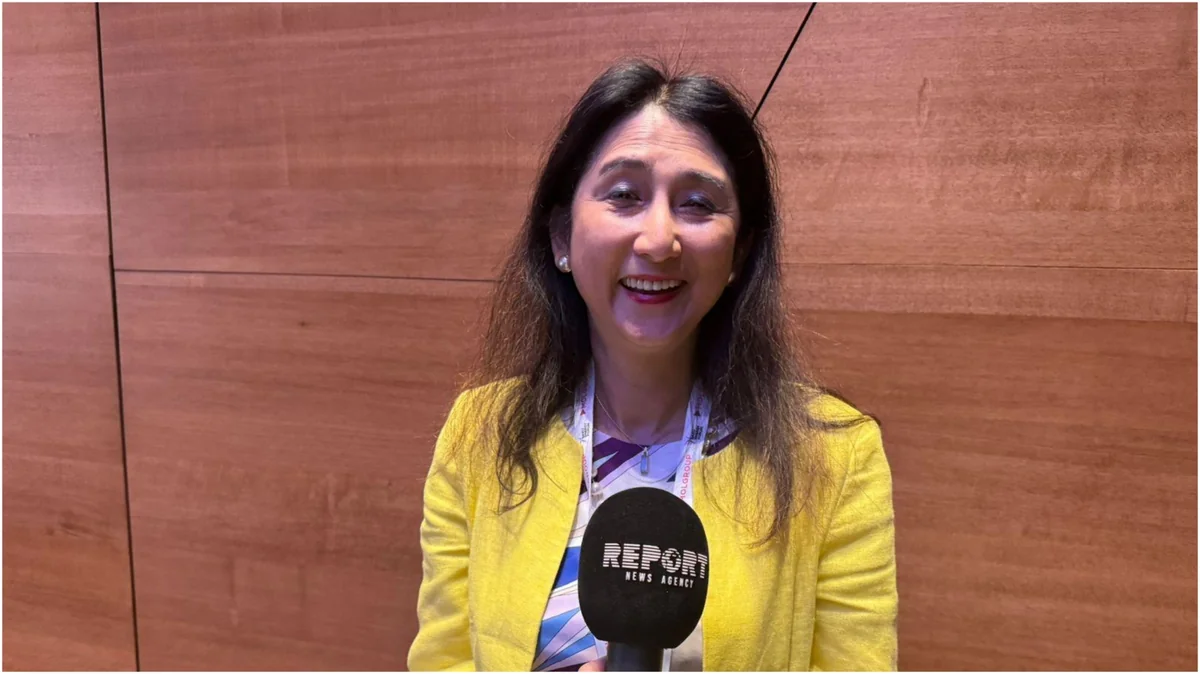 Atsuko Hirose: Azerbaijan has resources to ensure energy transition