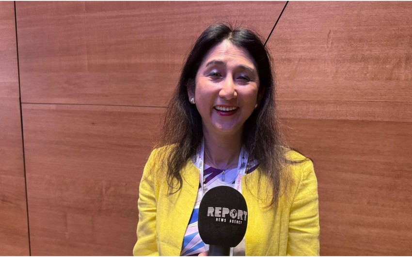 Atsuko Hirose: Azerbaijan has resources to ensure energy transition