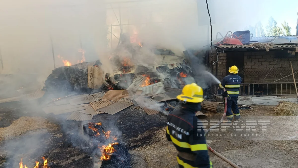 Salyanda 40 tonluq ot tayası yanıb