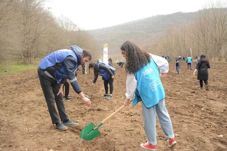 “Yaşıl Marafon” çərçivəsində Qubada meşəsalma aksiyası keçirilib