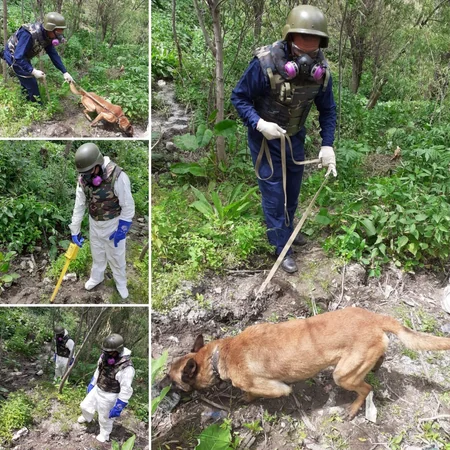Göygöldə düşmən tərəfindən atıldığı ehtimal olunan top mərmisi tapılıb