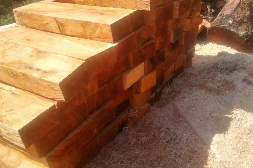 Lənkəranda qanunsuz yolla əldə olunmuş meşə materialı aşkarlanıb
