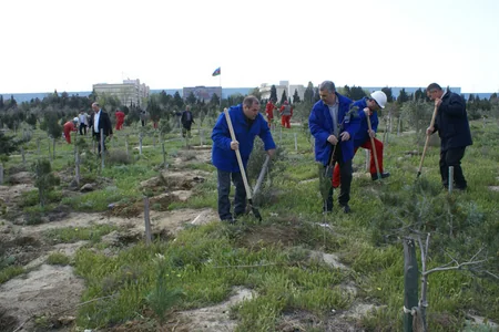 SOCAR əməkdaşları 5 900 ağac əkib