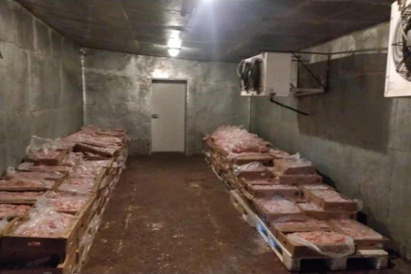 Bakıda quş əti emalı müəssisəsində nöqsanlar aşkar olunub