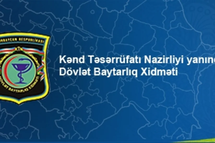 Bərdədə 20 ton yararsız heyvan əti tapılıb
