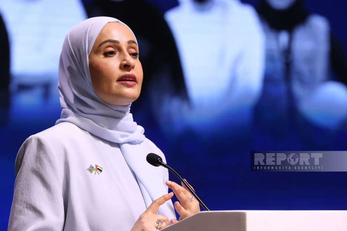 UAE minister: COP29 in Azerbaijan to be a landmark success in combating climate change