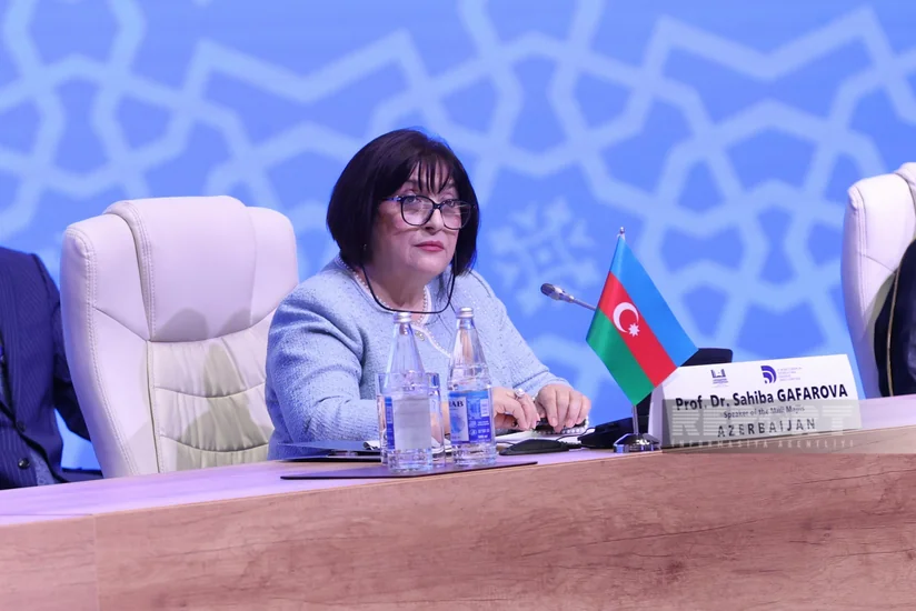 Спикер ММ: Азербайджан предпринимает последовательные шаги для сохранения культурного наследия