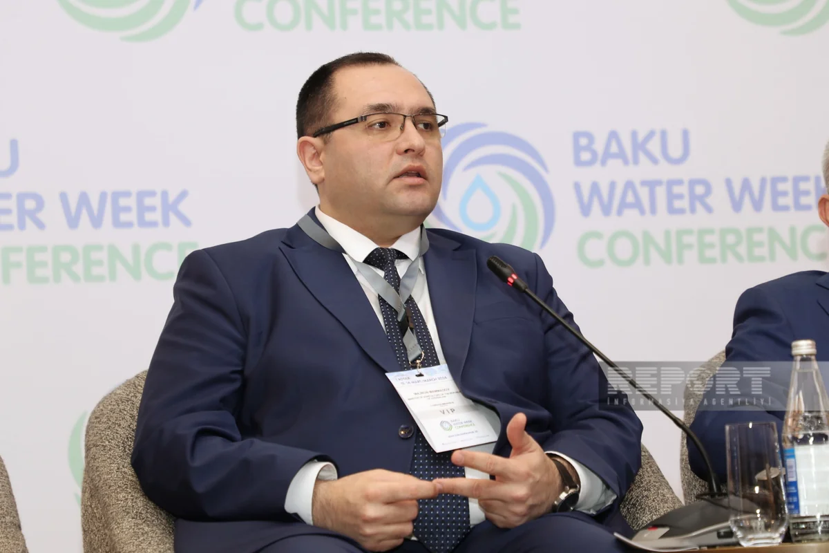 Məcnun Məmmədov: Azərbaycanda ötən il 160 min hektara yaxın sahə zərər çəkib