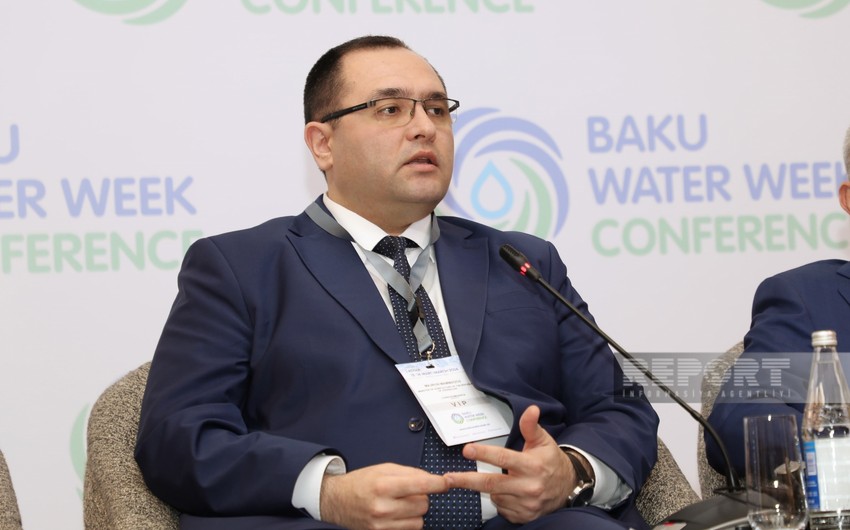 Məcnun Məmmədov: Azərbaycanda ötən il 160 min hektara yaxın sahə zərər çəkib