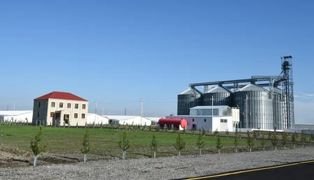 Prezident İlham Əliyev Sabirabad rayonunda quşçuluq fabrikinin fəaliyyəti ilə tanış olub