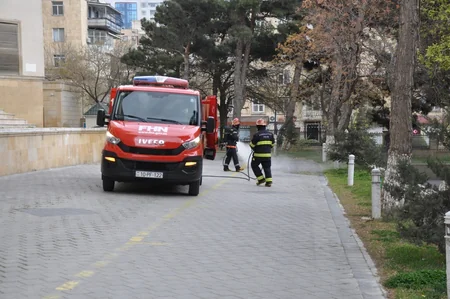 FHN dezinfeksiya işlərini davam etdirir - VİDEO