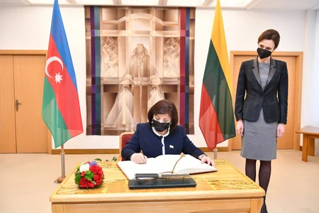 Sahibə Qafarova litvalı həmkarı ilə görüşüb