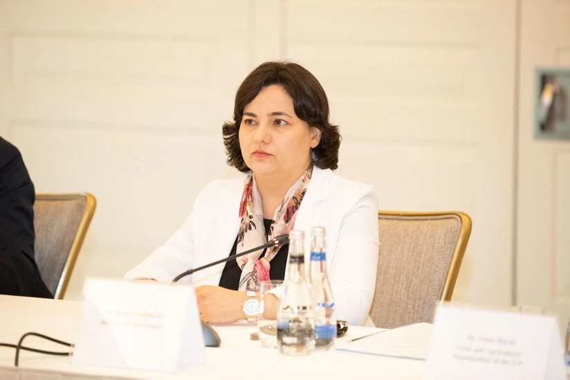 İlhamə Qədimova: “Son 5 ildə suvarma sistemlərinin qurulmasına 93 milyon manat subsidiya ayrılıb”