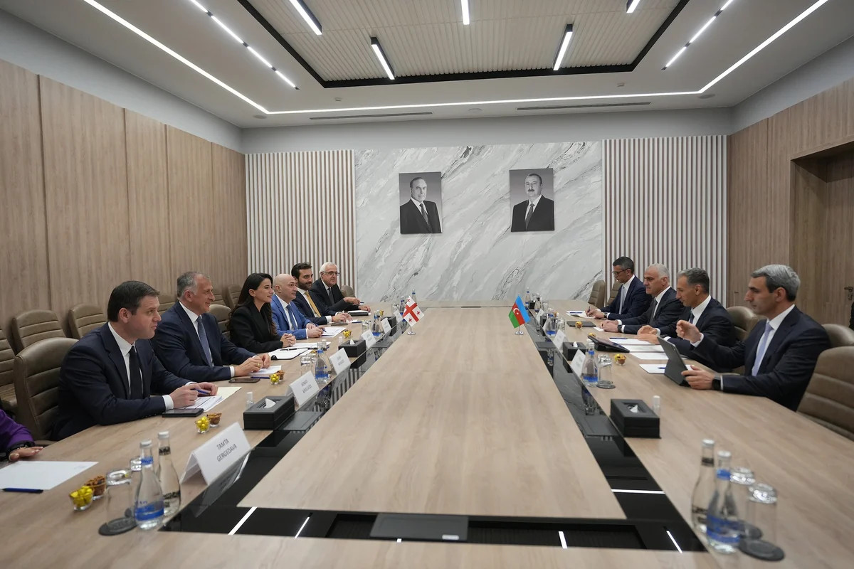 Nazir: “Azərbaycan və Gürcüstan arasında dəmir yolu ilə sərnişin daşımalarının başlanması vacibdir”