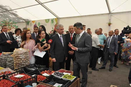 Əli Əhmədov və İnam Kərimov Yaşıl bazara gedib: İki manata kartof olmaz