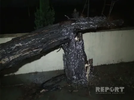 Lənkəranda leysan yağış yağması nəticəsində bəzi həyətləri su basıb - FOTO