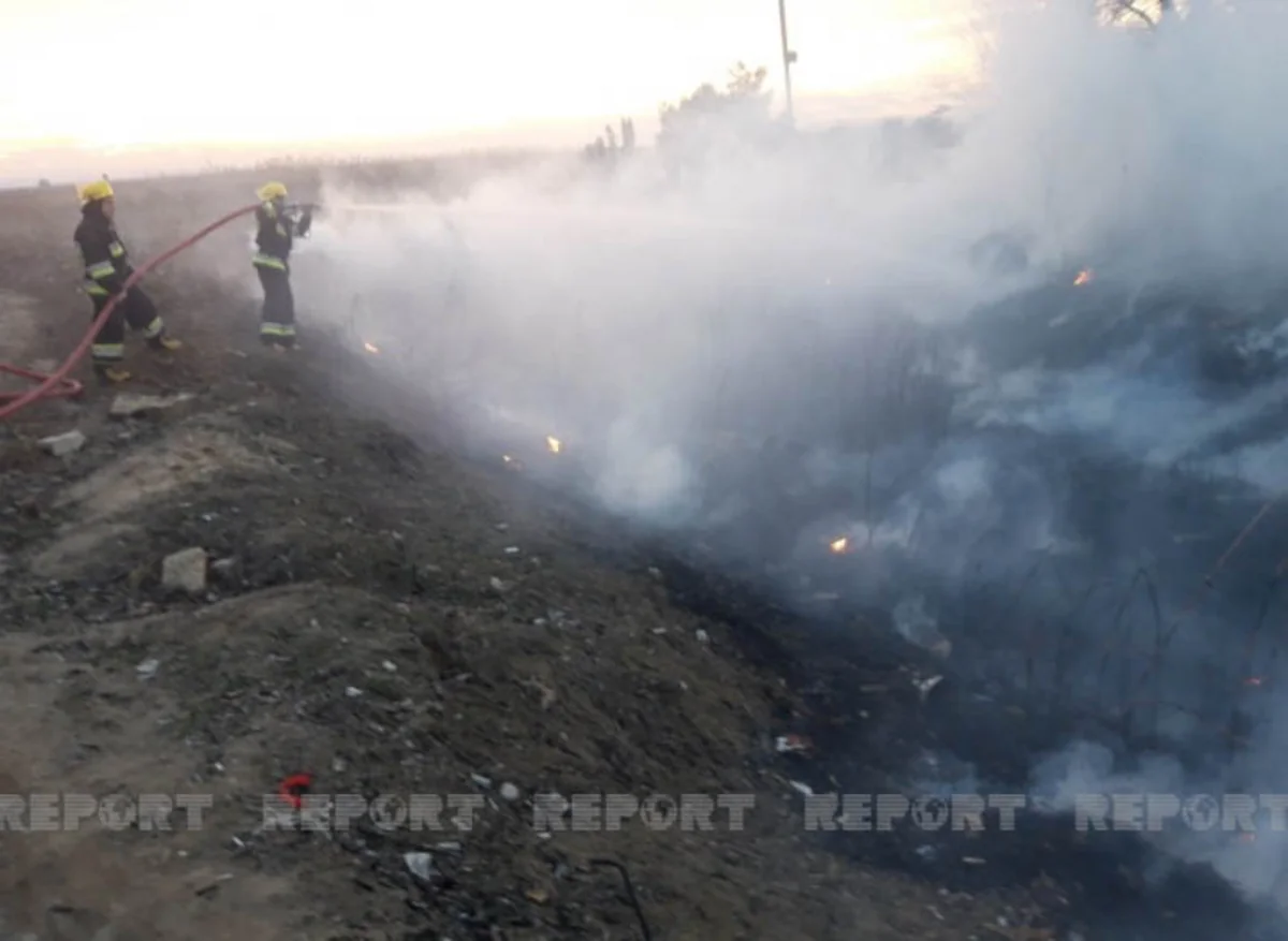 Biləsuvar sakinləri kollektorun təmizlənilməməsindən narazıdır