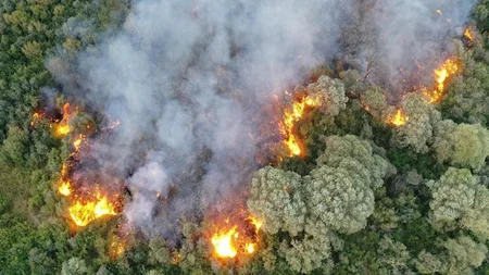 В провинции Агры на востоке Турции возник лесной пожар