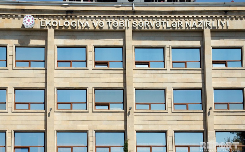 ETSN ağacların kəsilməsi ilə bağlı vətəndaşlara müraciət edib: Qaynar xəttə zəng edin