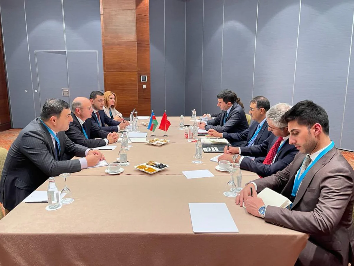 Azerbaijan, Turkiye can deepen cooperation in energy export and transit