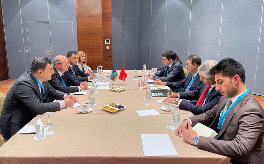 Azerbaijan, Turkiye can deepen cooperation in energy export and transit