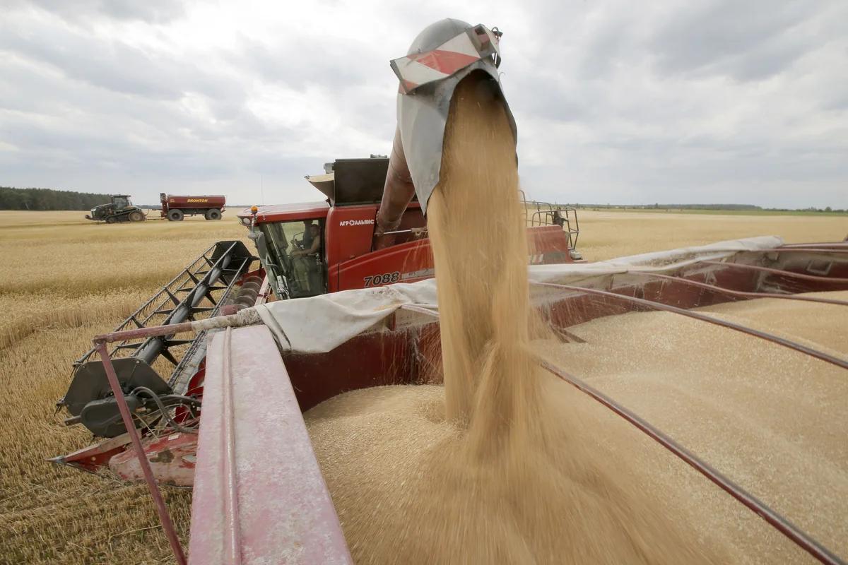 Ukrainian agricultural production significantly disrupted – UK Defence Ministry