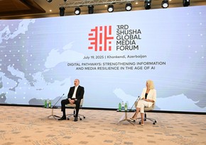 President Ilham Aliyev: Southern Gas Corridor is working at full capacity