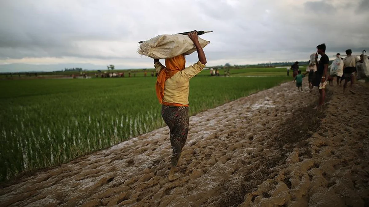Myanmadan Banqladeşə qaçan müsəlmanların sayı 73 minə çatıb