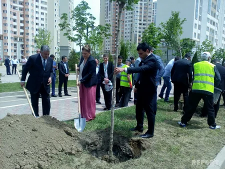 Azərbaycanın Gürcüstandakı səfirliyi Heydər Əliyevin 95 illik yubileyi ilə əlaqədar ağacəkmə aksiyası keçirib