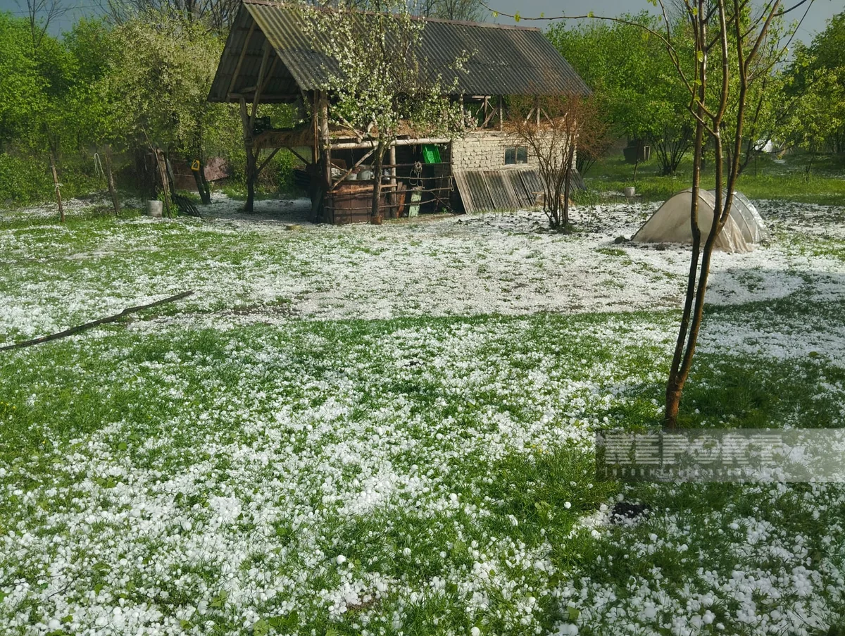 Oğuza dolu düşüb