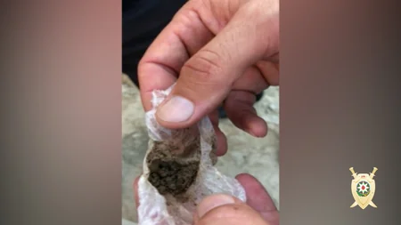 Bakıda polis narkobaronlara qarşı xüsusi əməliyyat keçirib - VİDEO - YENİLƏNİB